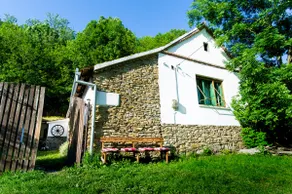 Sub Măgrin traditional house under the Locust tree - Image 2