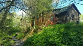 Creek-side Cabin Downtown Boone - Image 2