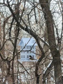 Cozy cabin on beautiful Fairfolk Farm - Image 5