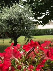 GINA & JETO HOUSE WITH GARDEN - Image 2