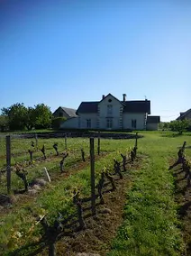 Slottet Farmhouse i Vines - Chinon - Loire - Image 4