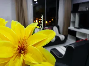 A small apartment in Arequipa Miraflores - Image 2