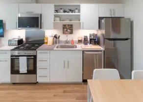 Lil BUB's Really Nice Apartment - EAST - Image 4
