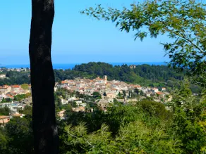 T2 sea view, Alps & Biot village with pool - Image 2