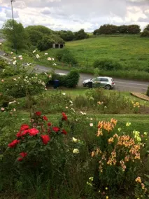 Rambling Rose Cottage, near Staithes - Image 2