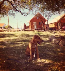 Katie's Cozy Cabins - Image 5