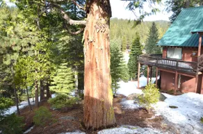 Cozy Mountain Retreat in the High Sierras - Image 4