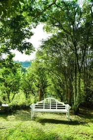 Recanto Verde do Vale (Green Valley) - Image 5