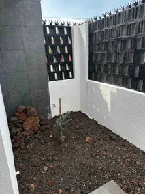 Coyoacán Apartment - Image 4
