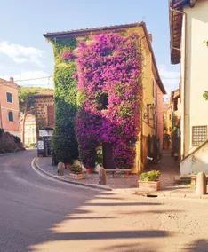Vicolo Stretto - Image 3