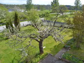 Hyggelig villa med have: børnevenlig, gratis WiFi, fiskeri, båd - Image 3