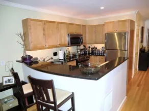Luxury Beacon Hill Apartment 1-BR - Image 5