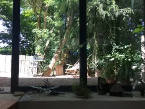 Green cocoon for a romantic getaway - Image 4