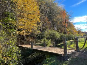 Gemütlicher Rückzugsort mit Bach und Brücke im Hinterhof - Image 3