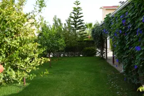 Paradise Town Villa Premium - Image 2
