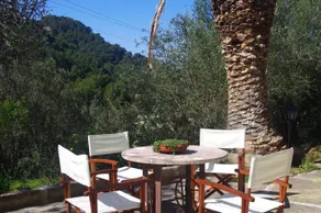FINCA SON TORRAT - Image 2
