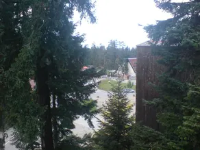 BOROVETS Royal Plaza - A409 - Image 5