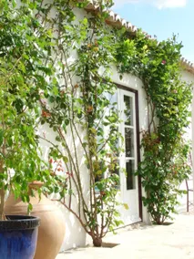Monte da Boavista - Country family house - Image 4