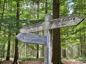 Charming guest house, idyllically located on the edge of the forest - Image 5