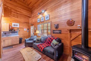 Black Bear Cabin-onsite \"bear hunt\" & playground, game room, kitchen AC & heat - Image 4