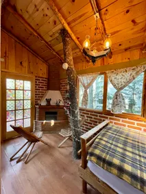 Tree inside your cabin · Terrace and Huasca forest - Image 4