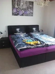 Holiday home Luzie - Image 3