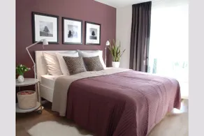 Holiday Home in Kamperland near Beach - Image 4