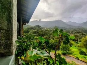Bela Vista Country House - Image 3