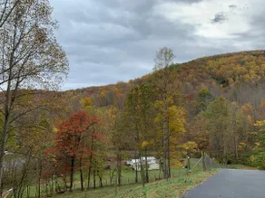 Shifflett's Ole Homeplace - serene river getaway - Image 3