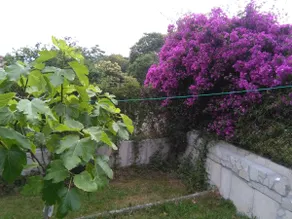 Sta. Cristina Chalet, Perillo, Oleiros - Image 5