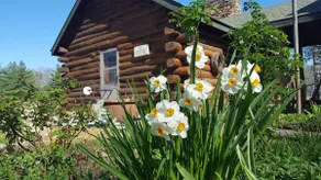 Westerfield Log Cottage - Image 2