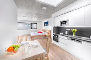 Executive Studio just beyond the Prague Castle - Image 2