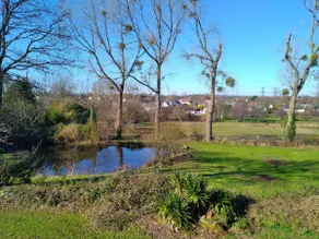 The Unicorn Lodges - Image 5