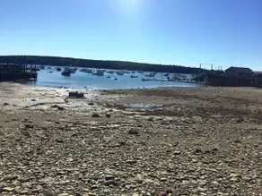 Harbor/🦞 Pound Access & Views from Large Deck - Image 5