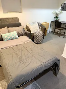 Pretty Suite in Lincoln Park w/HVAC +free parking - Image 3