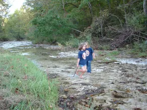 Cabin on the Creek, 120 Acres - Image 5
