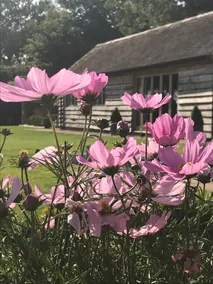 Lavender Lodge, Warwickshire, United Kingdom - Image 3