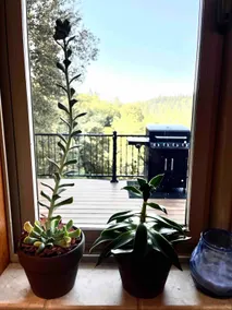 Mountain Getaway,  just 6 miles away from town! - Image 5