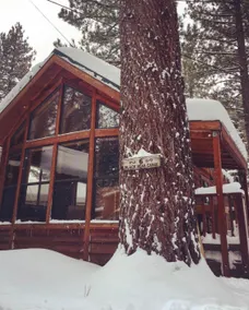 Sugar Pine Cabin! - Image 3