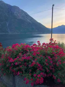 Perfeckt view in Hardanger,Norway ! - Image 4
