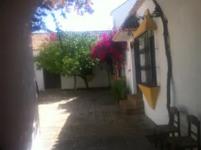 1721 HOUSE 10 MIN.DE SEVILLA - Image 5