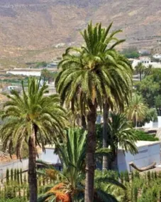 Villa Paulito El Roque - Image 5
