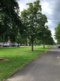 Peaceful and Unique Stay in City Centre - Image 4