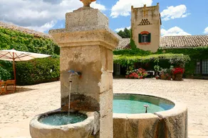 Casa Ribatteria, Masseria Floresta - Image 2