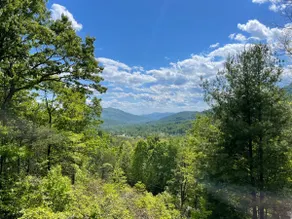 Spectacular Mountain View @ Peaceful, Cozy Cabin! - Image 2