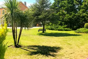 Casa de campo - Image 2