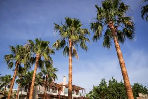 Myrtia luxury villa with private pool platanias - Image 4