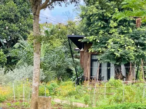 Sunflower Paksong Farmstay Bungalow - Pleiku City - Image 2