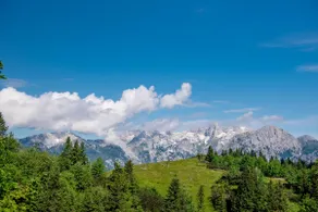 Chalet Tisa Velika Planina - Image 5