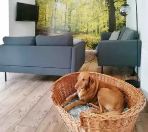 Idyllic vacation home BB2 in Bad Brambach - Image 4